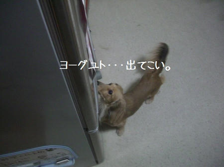 CIMG0781.JPG