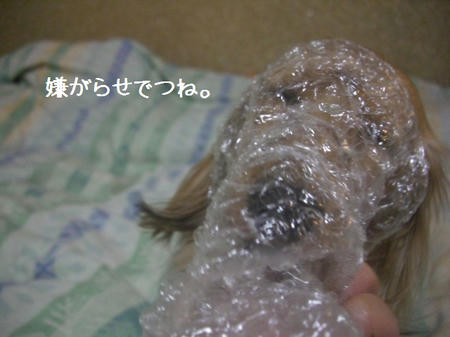 6276735d.JPG