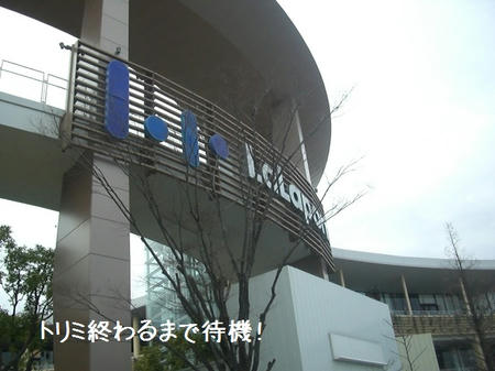 6f134d98.JPG