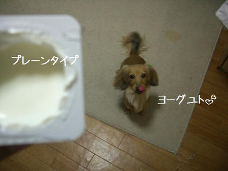 991f8f11.JPG
