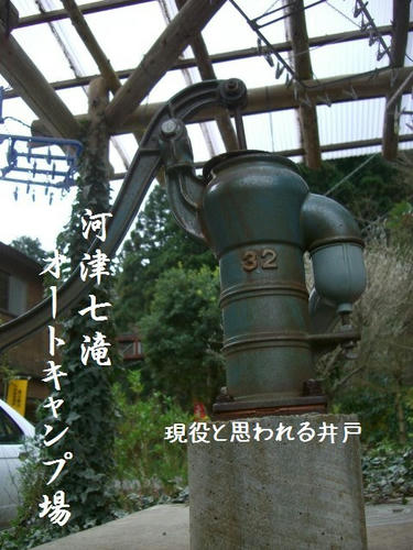 f314d501.JPG