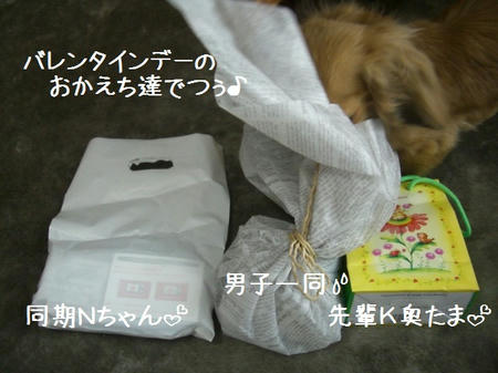 8d2330e9.JPG