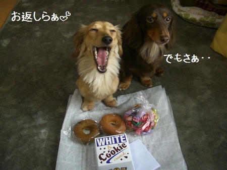 dd7d8250.JPG