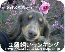 44a5d02d.JPG