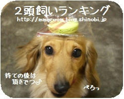 CIMG2208.JPG