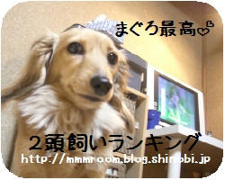 CIMG2429.JPG