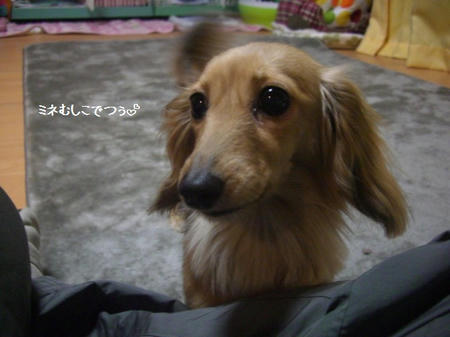 c7a10a30.JPG