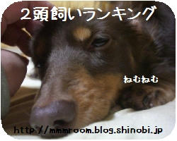 CIMG3127.JPG