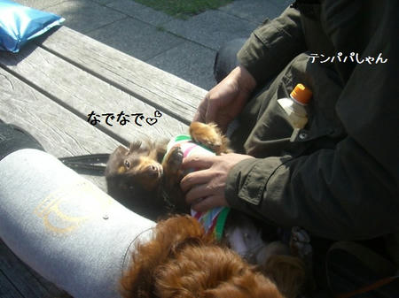 72f9b30e.JPG