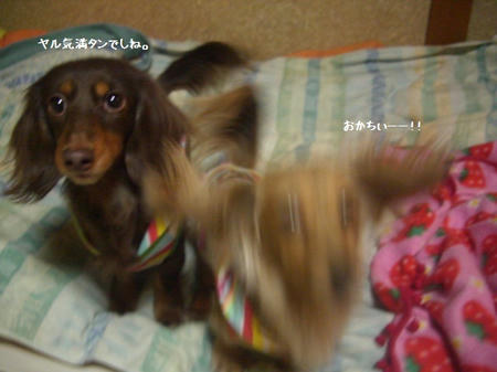 CIMG0637.JPG
