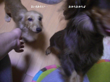 CIMG0745.JPG