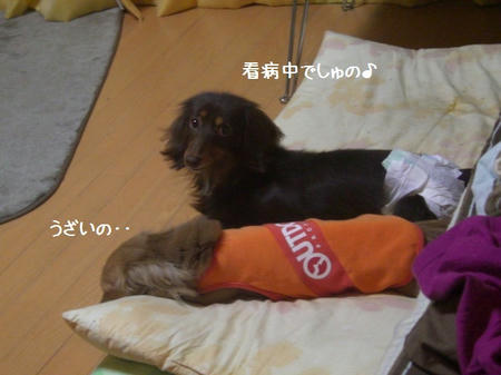 a73c2829.JPG