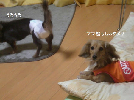 d06ffece.JPG