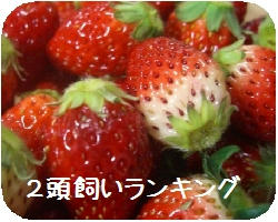 8a903887.JPG