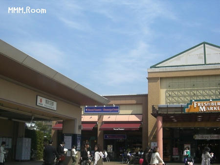 74ca8498.JPG