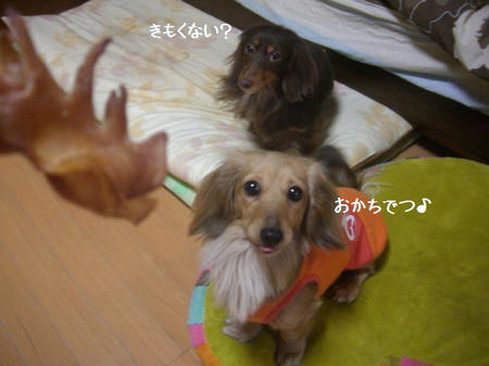 40918abc.JPG