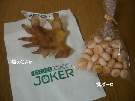 49f54515.JPG