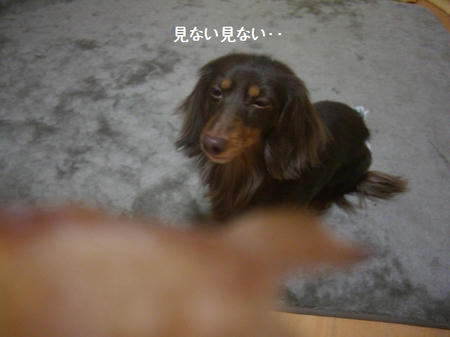 6384789a.JPG