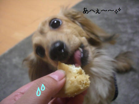 9275d45f.JPG