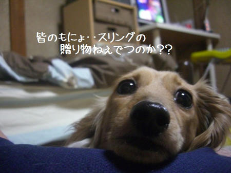 51d8a5f6.JPG