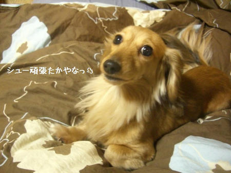 0453884b.JPG