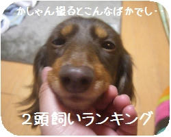 CIMG4748.jpg