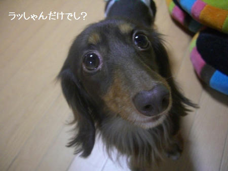 a755e43e.JPG