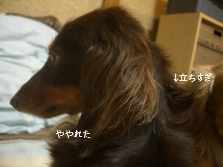 36945e0a.JPG