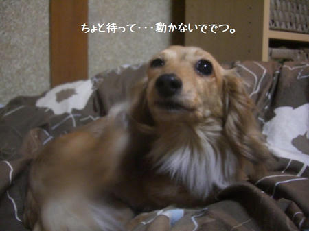 CIMG4937.JPG
