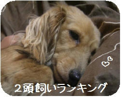 22f91e71.JPG