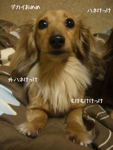 7c7a10d8.JPG