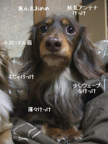 096724d6.JPG