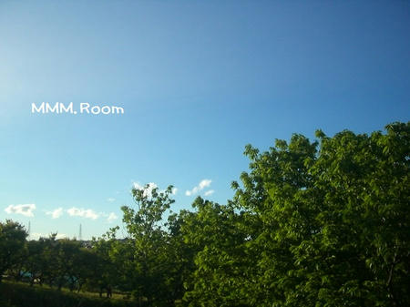 CIMG5277.JPG