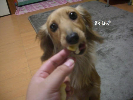 5d49bb25.JPG