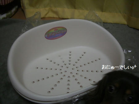CIMG5148.JPG