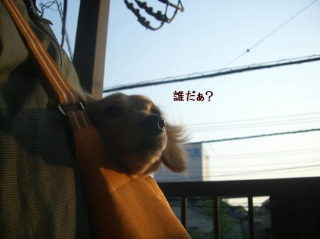 b7f4b95f.JPG