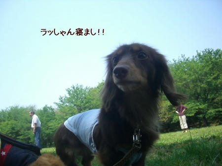 5554c2d7.JPG