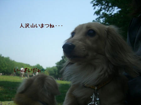 f881f0ab.JPG
