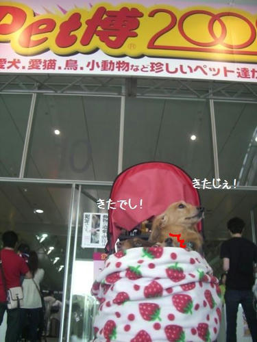 CIMG6440.JPG
