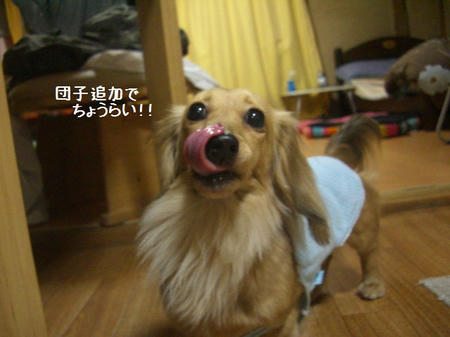 CIMG6041.JPG
