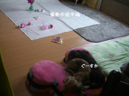 49bbbb03.JPG