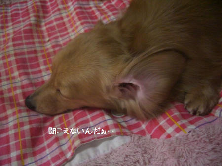 4a8cf80f.JPG