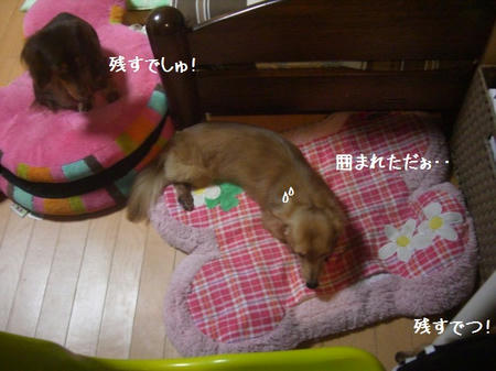 3cbc3b15.JPG