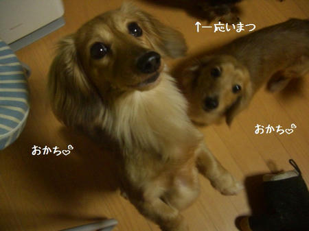 CIMG7078.JPG