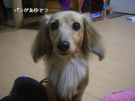 b33160b7.JPG