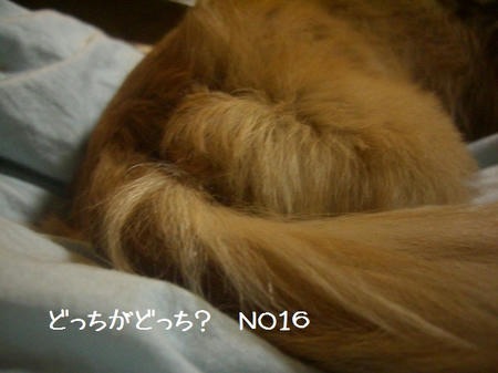 356b3ca1.JPG