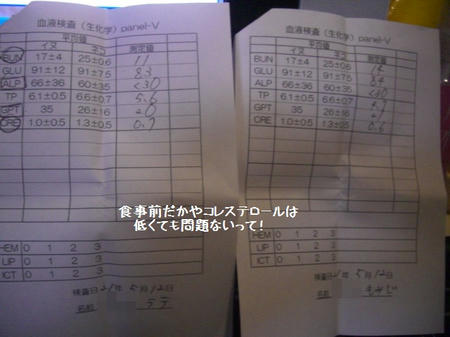 dff2c503.JPG