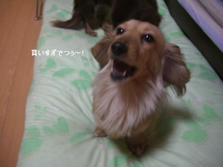 d6044b4f.JPG
