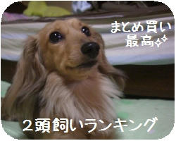 c45b244e.JPG