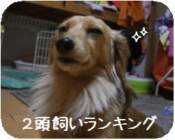 CIMG7534.JPG